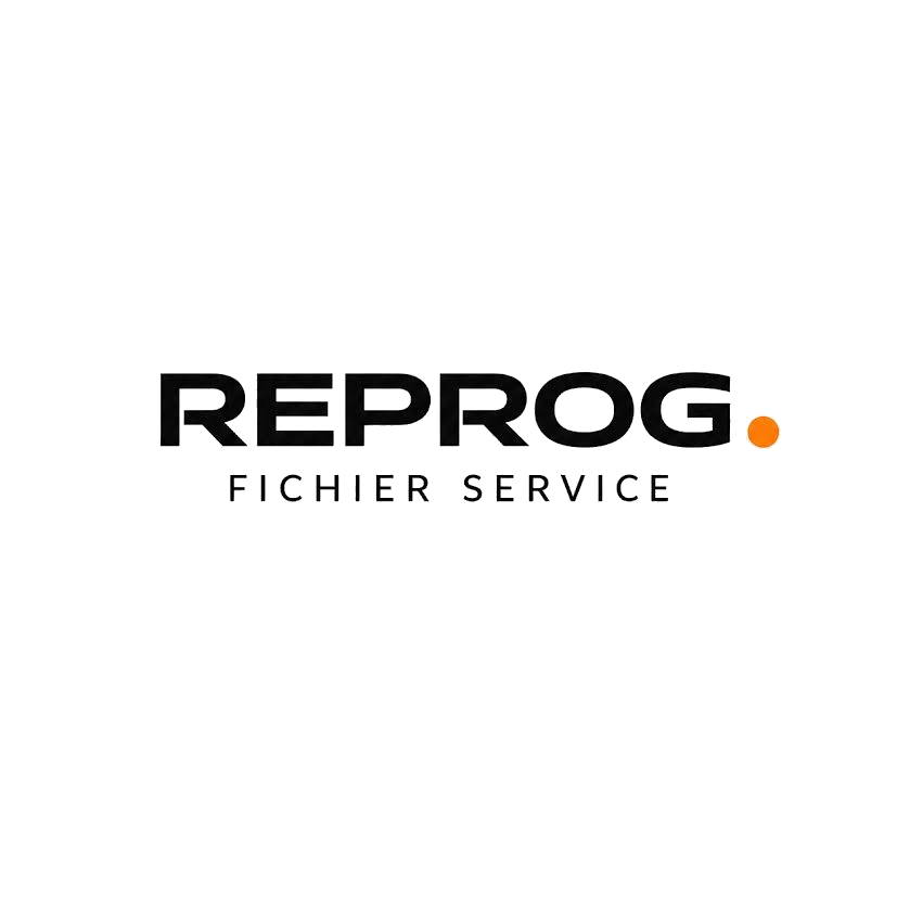 REPROG. Fichier Service